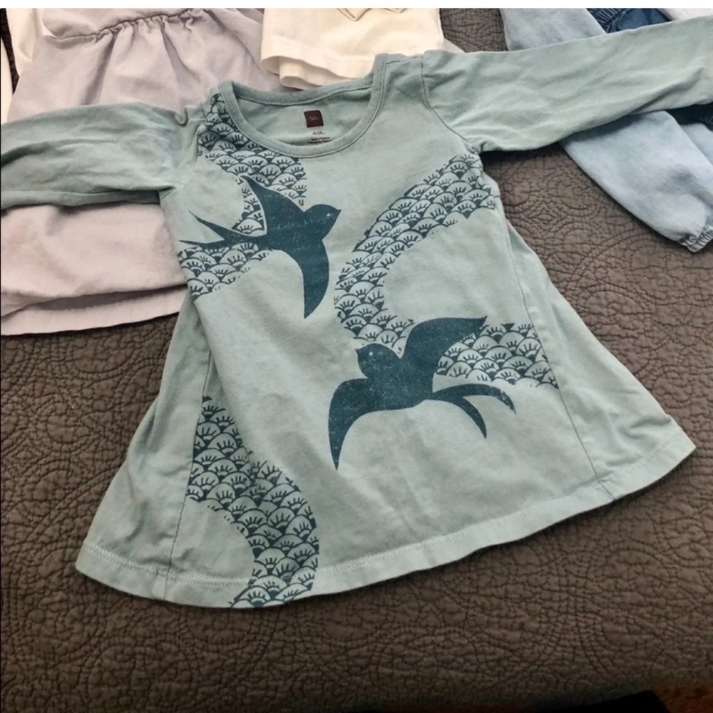 Tea Collection Dress Long Sleeves 6-12M